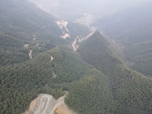路林共建如何守护绿水青山，助力山区村民致富？揭秘青田县的惊人成就