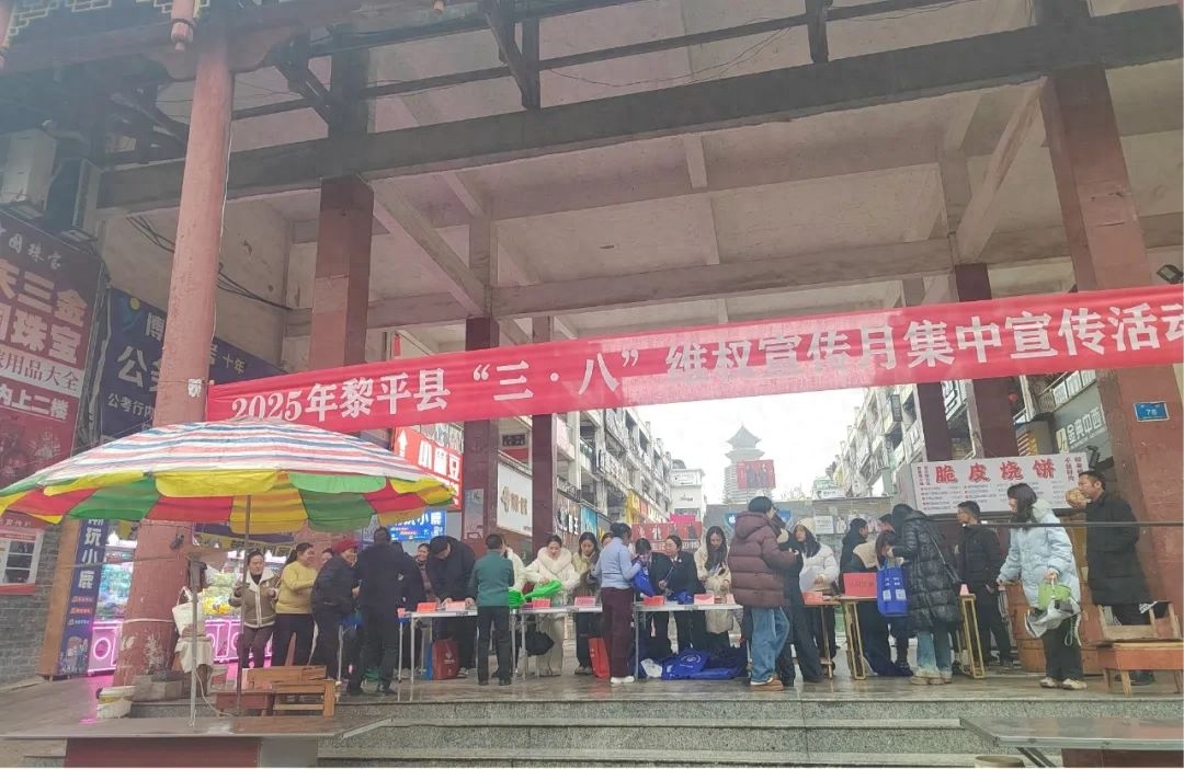 黎平分局如何通过三·八维权宣传月活动，助力妇女法治意识提升？