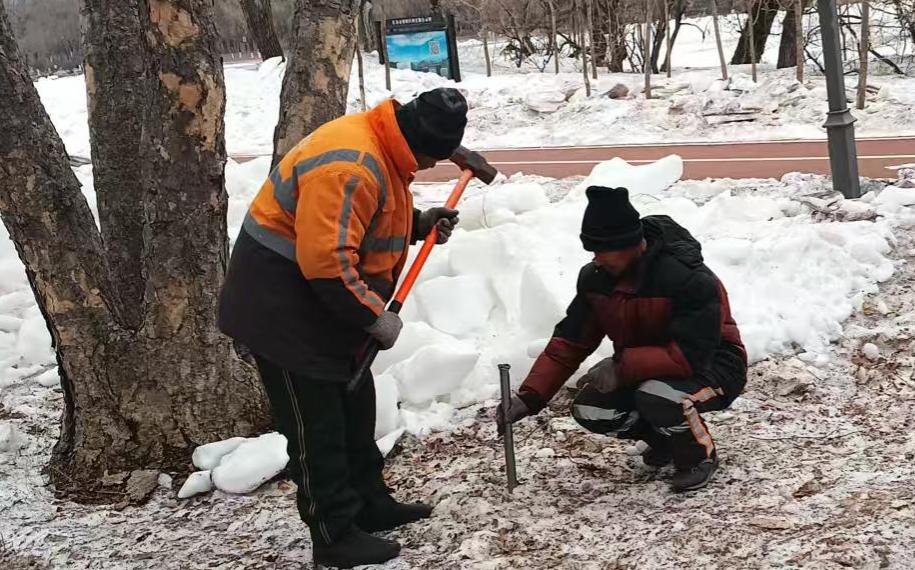 你知道吗？南湖公园的古树名木正在经历一场历史性的保护行动  第2张