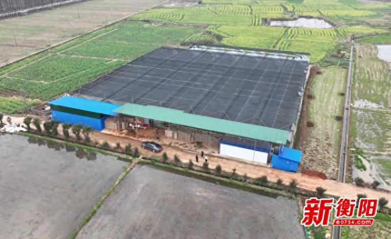祁东县春耕大行动！5000亩早稻育秧准备就绪，你家的农田准备好了吗？  第1张