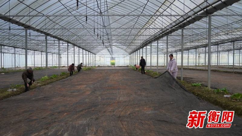 祁东县春耕大行动！5000亩早稻育秧准备就绪，你家的农田准备好了吗？  第3张
