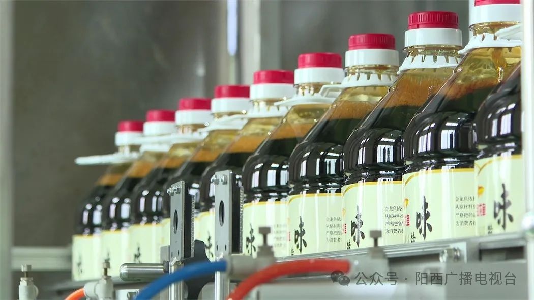 阳西营商环境优化，金龙鱼发展迅猛!秘诀在哪?  第3张