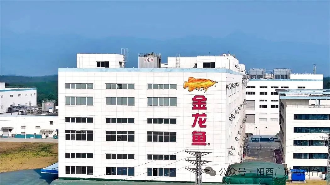 阳西营商环境优化，金龙鱼发展迅猛!秘诀在哪?  第5张