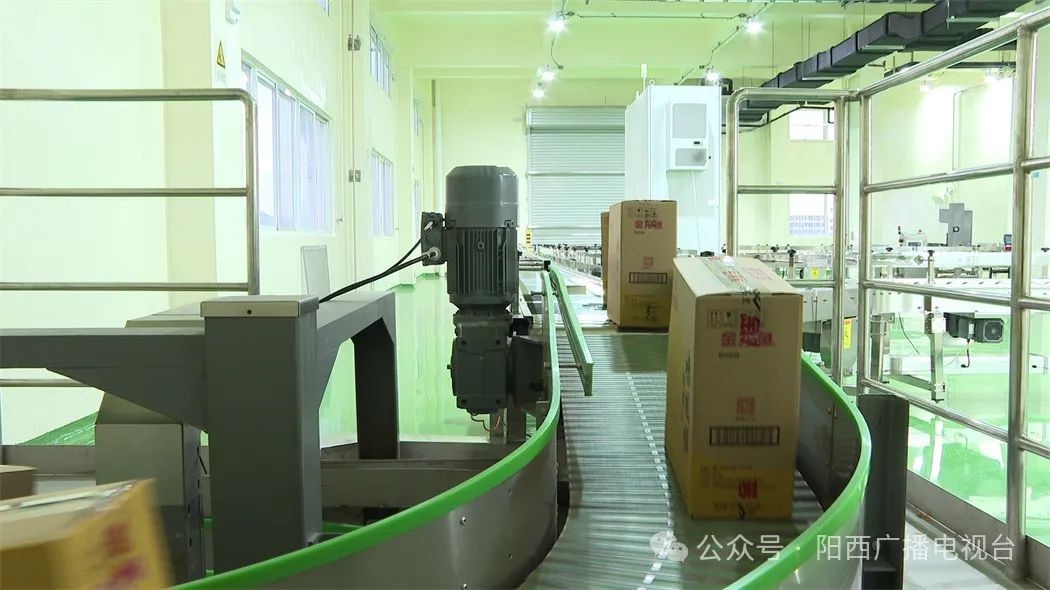 阳西营商环境优化，金龙鱼发展迅猛!秘诀在哪?  第6张