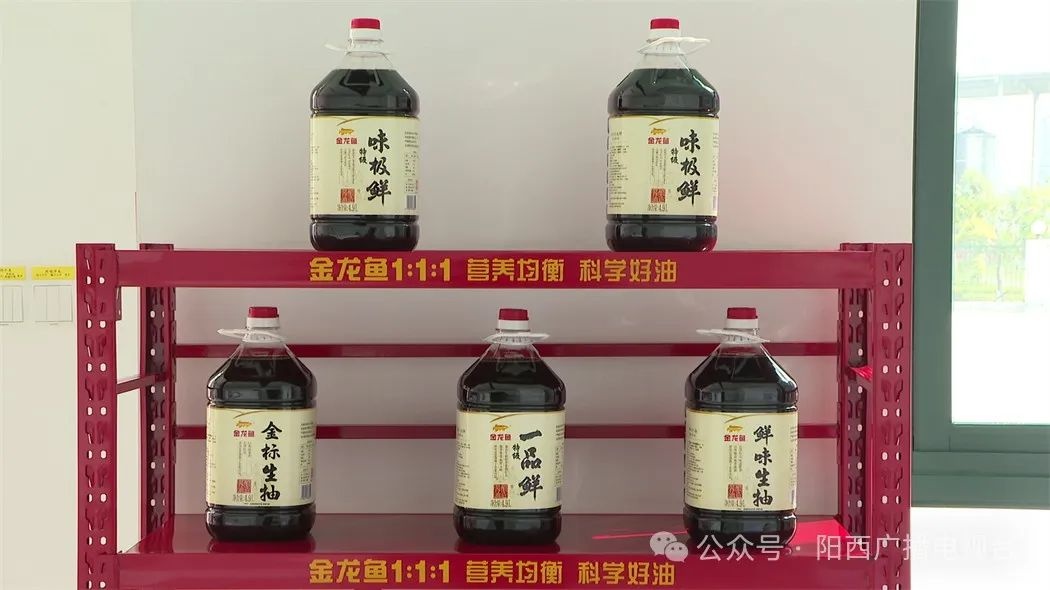 阳西营商环境优化，金龙鱼发展迅猛!秘诀在哪?  第7张
