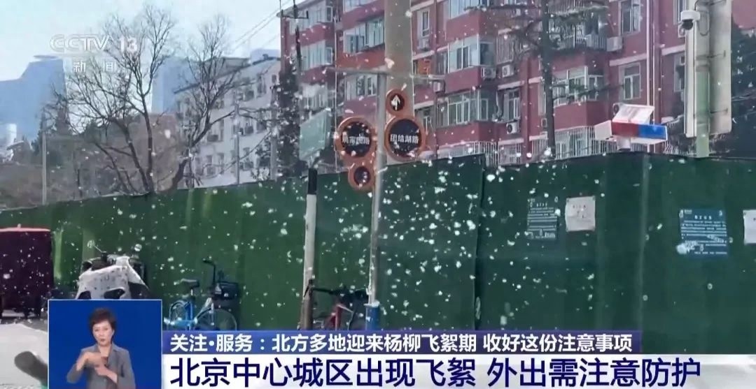 北京大风+森林火险+杨柳飞絮三重预警！你的出行安全准备好了吗？  第1张