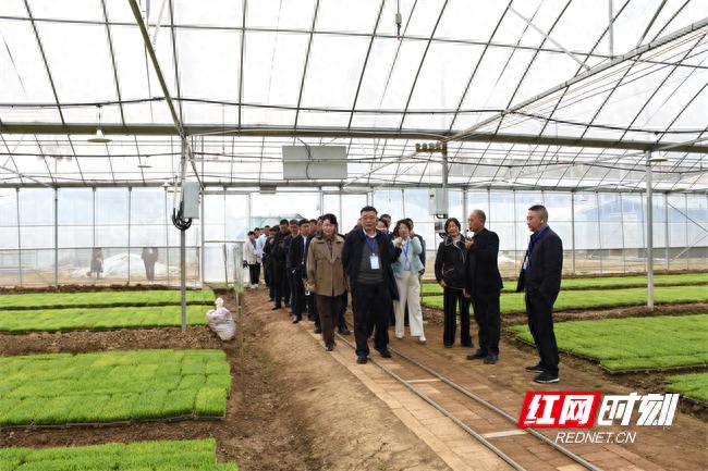 2025娄底春农业生产会！土地二轮延包有何成效?