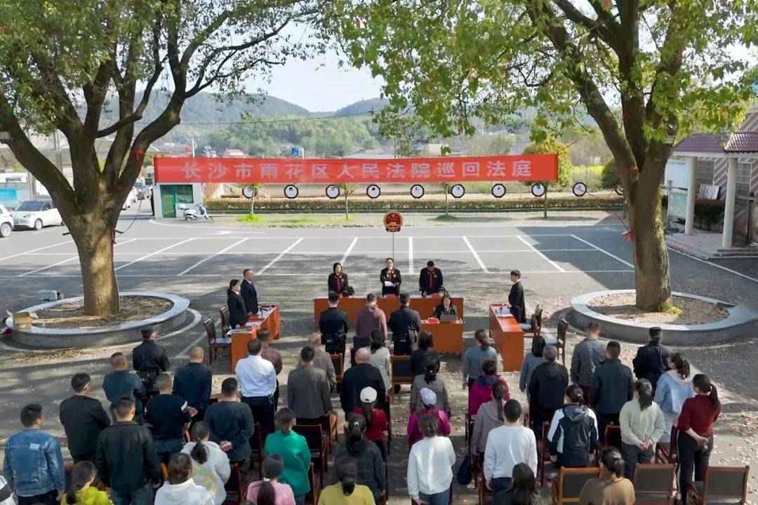 巡回审判：司法为民的绚烂之花！法院如何做到的？  第5张