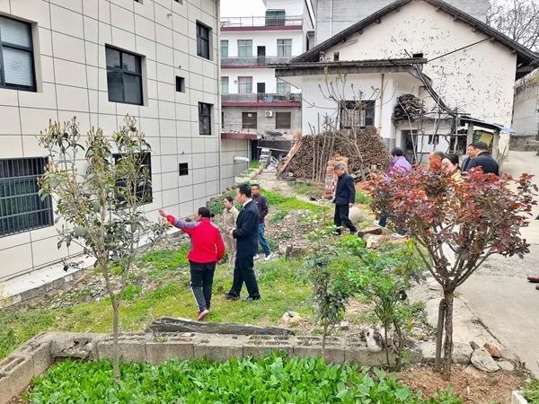 巡回审判：司法为民的绚烂之花！法院如何做到的？  第6张