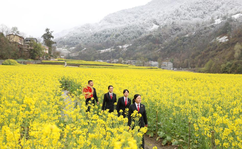 巡回审判：司法为民的绚烂之花！法院如何做到的？  第8张
