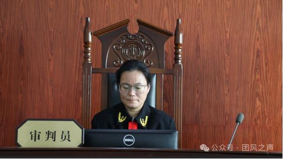 了不起！13年办理130+案件，蔡芬如何守护公平正义？  第2张