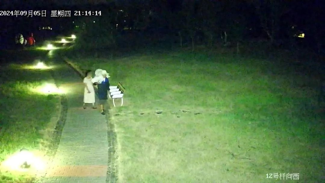 男子头戴草帽徒手掰天鹅雕塑？背后真相究竟如何  第1张