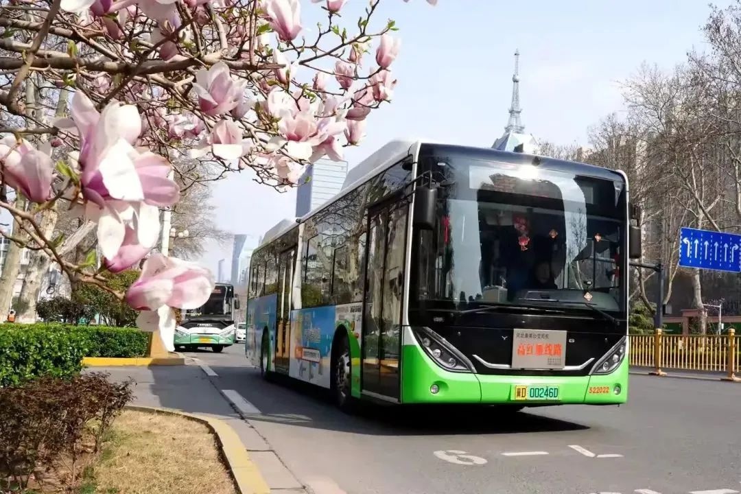 邯郸文旅火出圈！你以为踏青赏花，结果被人群架着走？  第2张