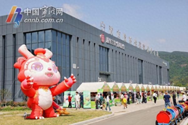 五一假期宁波乡村消费燃爆！果蔬拍卖、非遗糖画超火，你去过吗？
