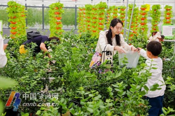 五一假期宁波乡村消费燃爆！果蔬拍卖、非遗糖画超火，你去过吗？  第2张