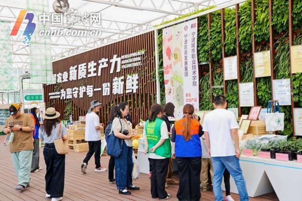五一假期宁波乡村消费燃爆！果蔬拍卖、非遗糖画超火，你去过吗？  第5张