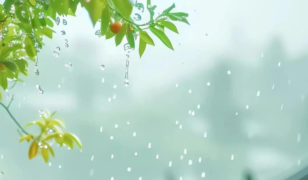 新一轮强降雨来袭！株洲今明两天暴雨成灾？风险究竟多大  第3张