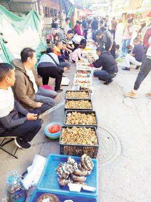 云南进入吃菌季！各类野生菌大量上市，价格惊人？