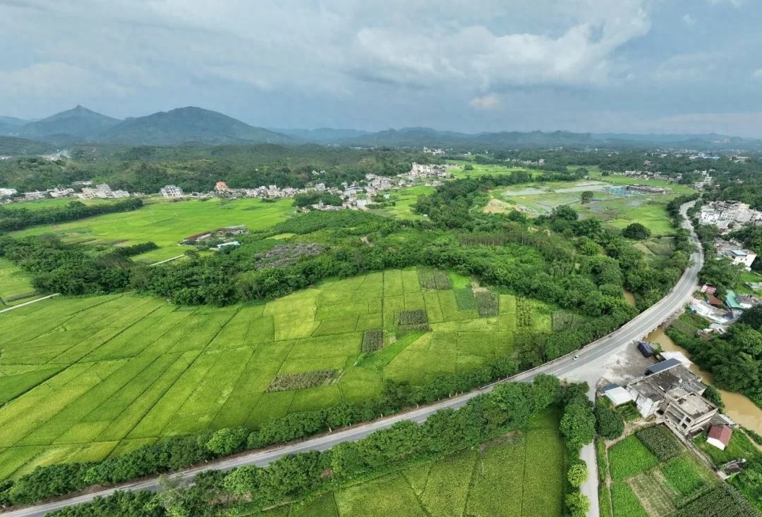 省道 206 线陆川段改建工程开工！新技术能否改写交通格局？