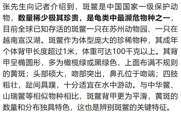 悬赏10万找斑鳖，数据匮乏现状咋破？专家资料快分享  第6张