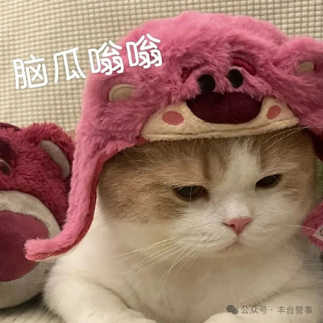全民理财时代！披着机构马甲的李鬼骗局咋骗钱的？快来看  第3张