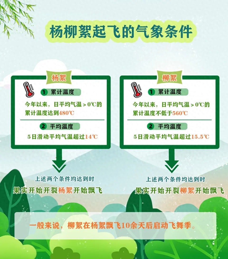 内蒙古杨柳絮啥时候飘飞？气象条件、高发期及防护全知道