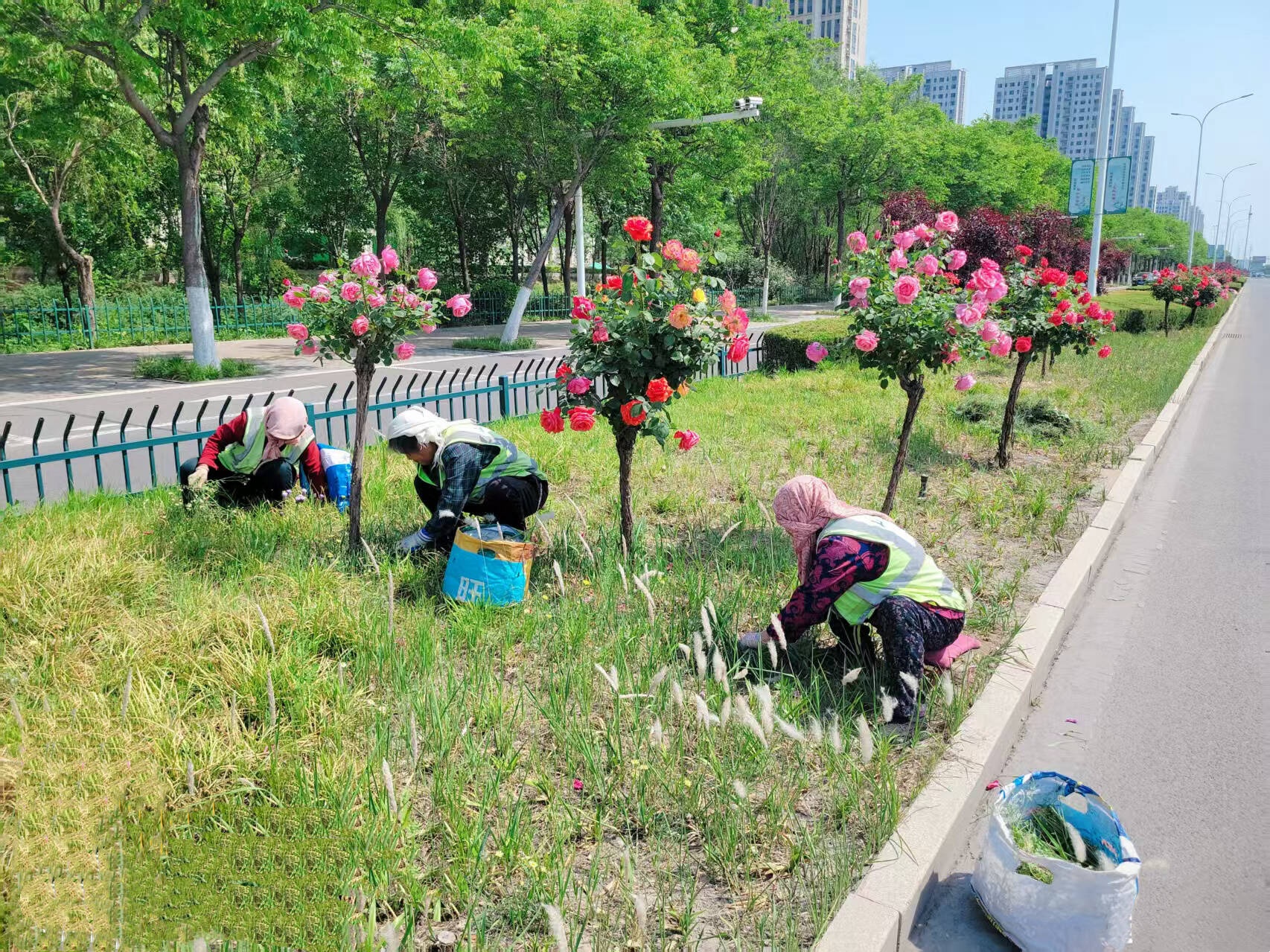 五一别人度假，张店城管人却坚守岗位？他们究竟付出了多少  第3张