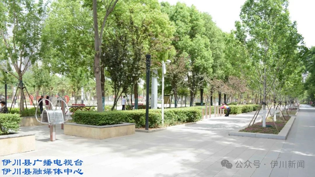 5月8日到9日伊川有分散性阵雨或雷阵雨？天气详情速看  第2张