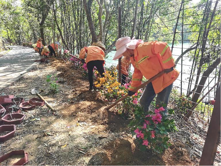 五一假期台山市城管执法局全力保障城市运行，这些工作你知道吗？  第2张