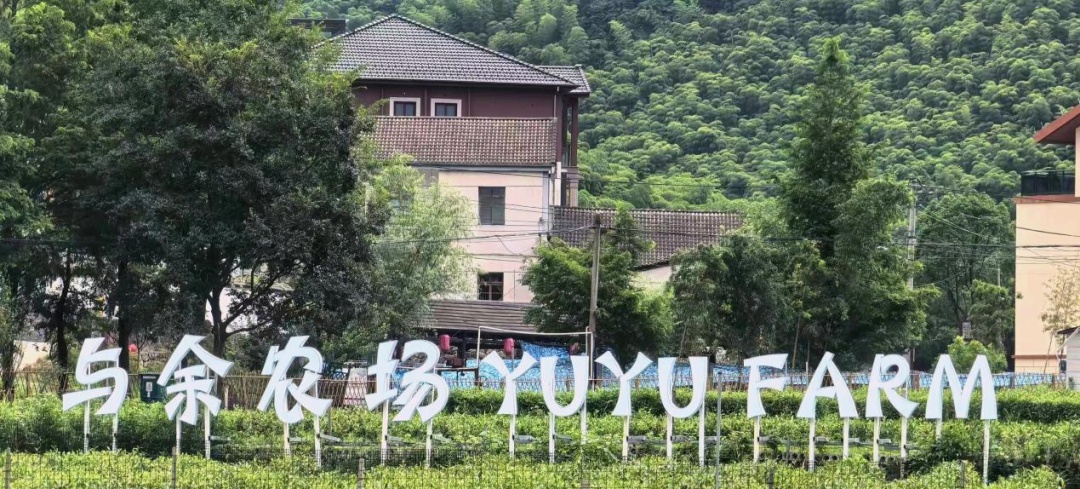20年‘两山’理念实践，安吉如何从荒山到金山银山？揭秘绿色发展新篇章  第8张
