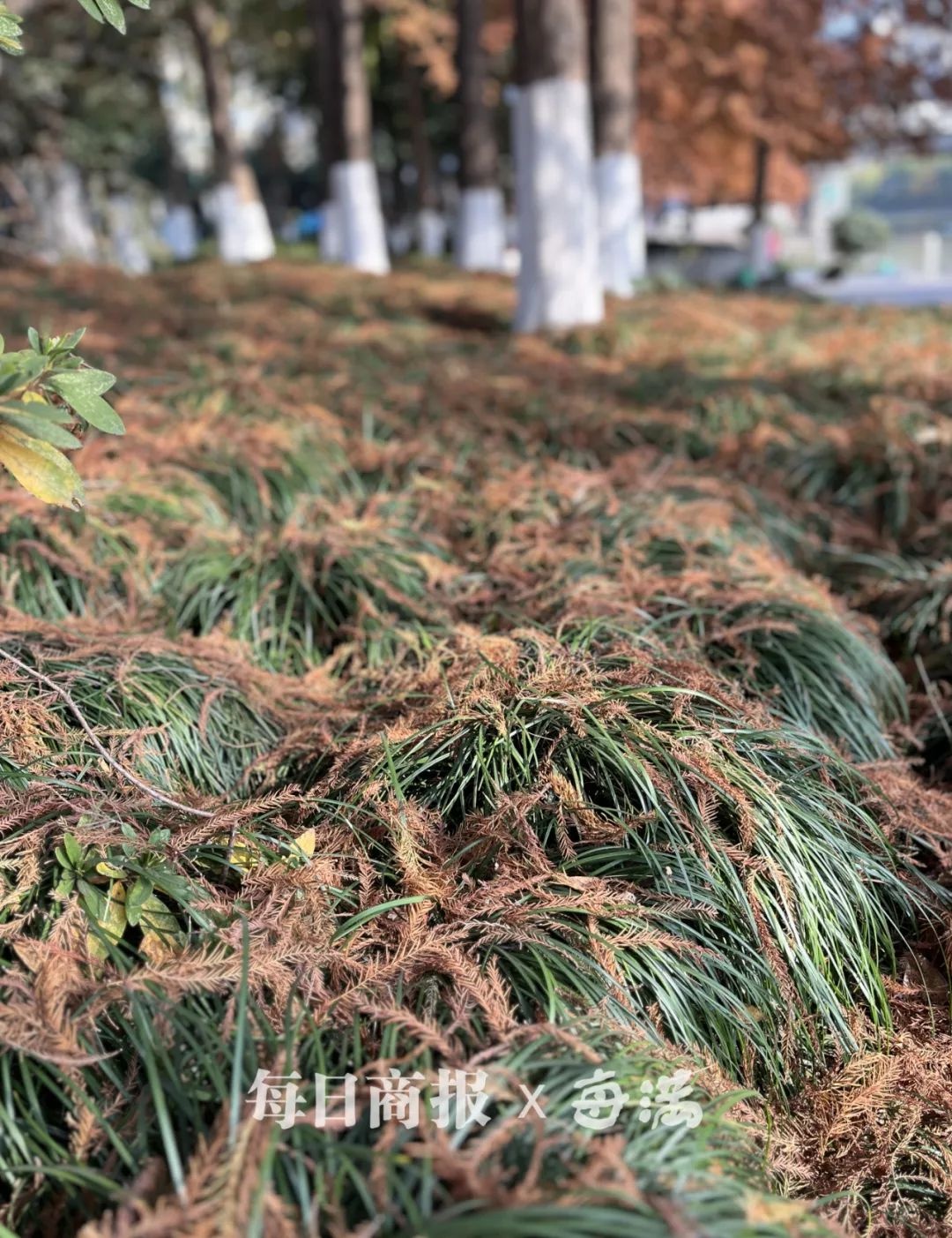 杭州人注意！三九寒潮来袭，羽绒服终于派上用场了！你准备好了吗？  第5张