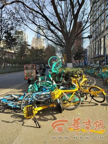 共享单车乱停放，西安南二环绿化带遭殃！谁来拯救我们的绿植？  第2张