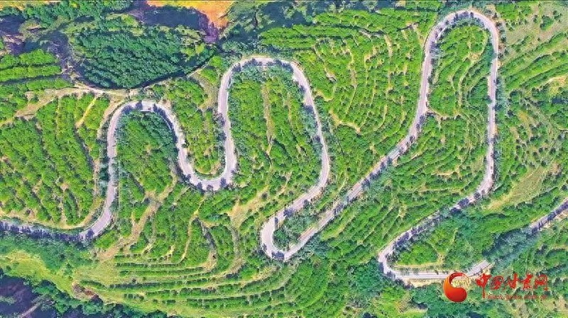 崇信县X046：一条路如何串起乡村振兴新画卷？  第1张