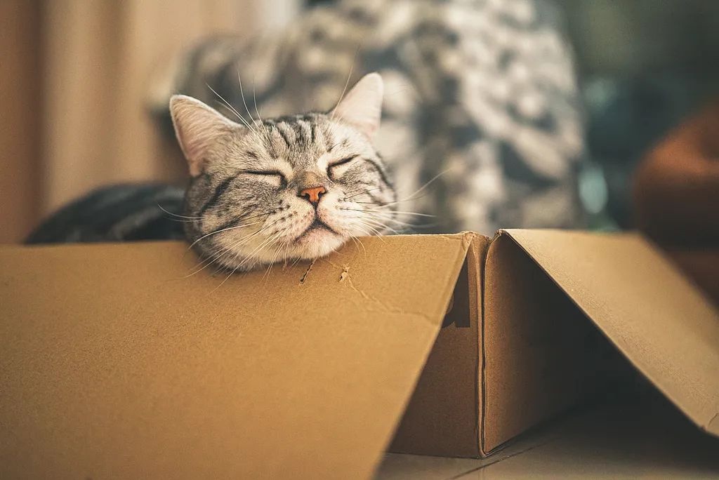 午睡超过30分钟竟有这些危害！你还在睡太久吗？  第3张