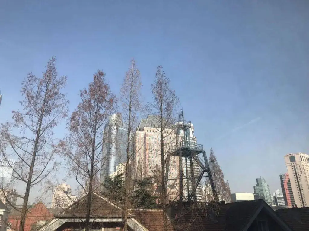 冷空气今夜来袭！上海明天最高仅5℃，郊区最低零下5℃，你准备好了吗？  第1张