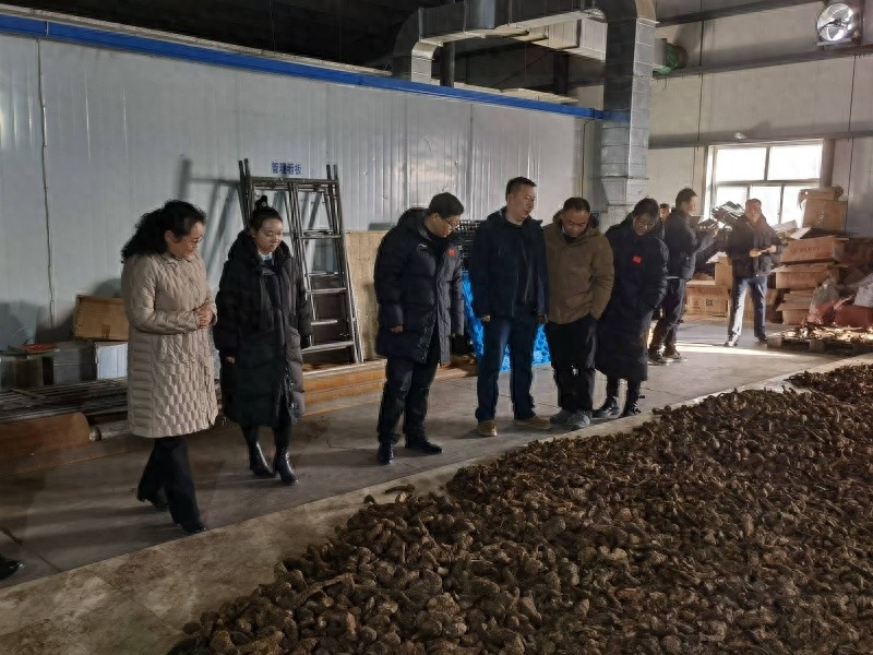 专家亲临阿拉善！中药与蒙医药的未来将如何改变？