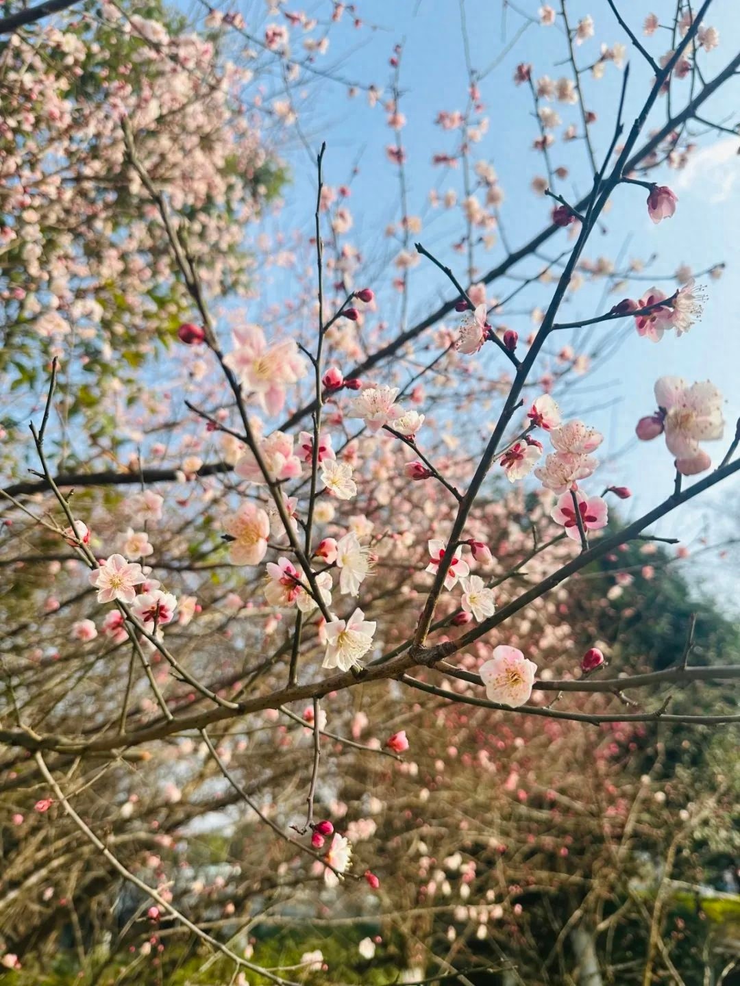 零下9℃的冰冻警告！宁波今冬最冷时刻即将来临，你准备好了吗？