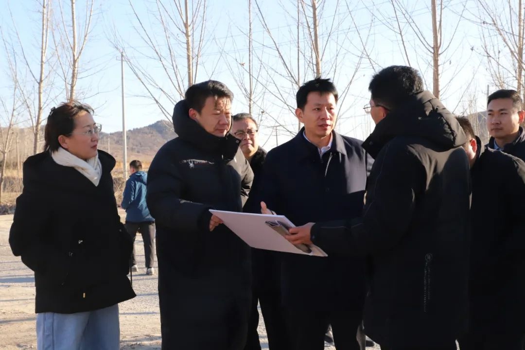 王士强调研重点项目，为何这些项目备受关注？  第4张