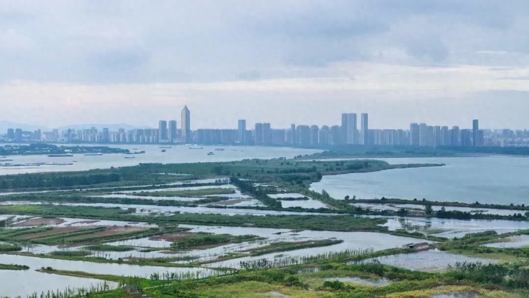 芜湖外龙窝湖湿地二期招标! 2.7亿将打造何种盛景?