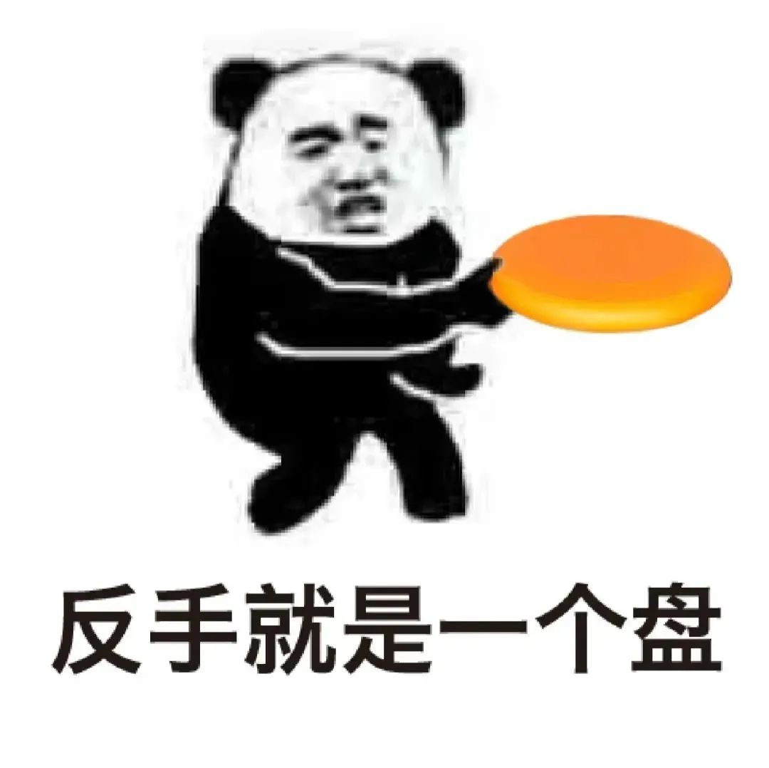 寻找盘友，共享飞盘激情！你准备好加入岱山青年飞盘社团了吗？  第6张