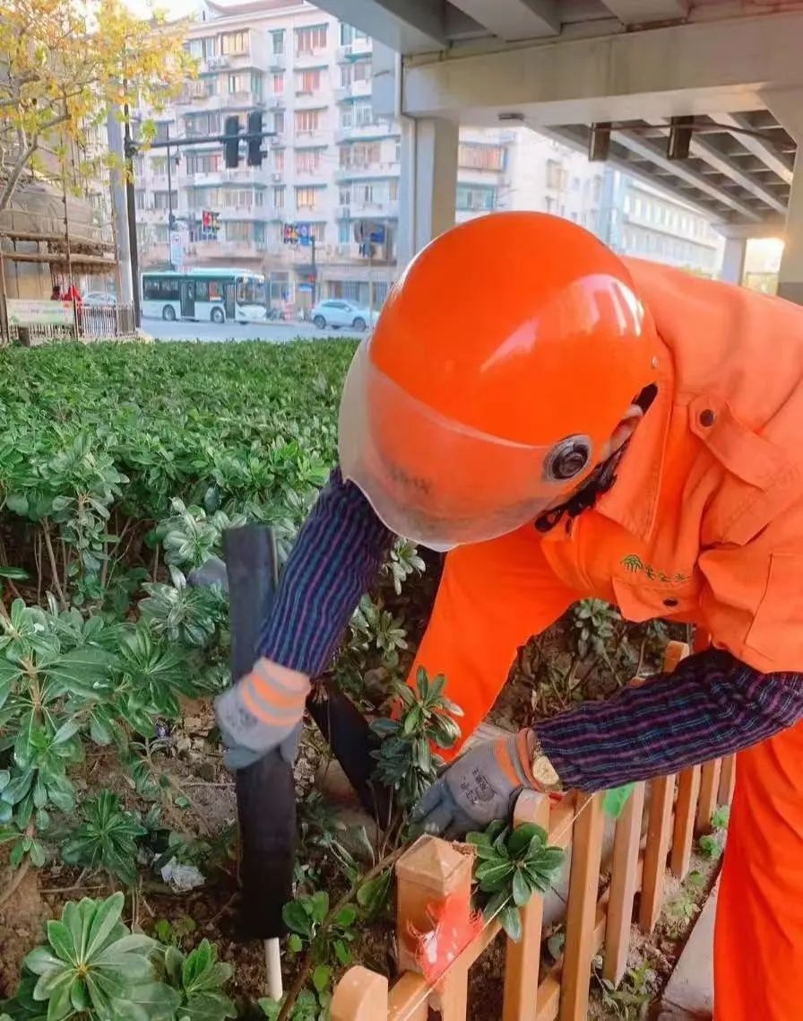 上海速冻模式开启！寒潮来袭，市区气温或将创下新低，你准备好了吗？  第2张