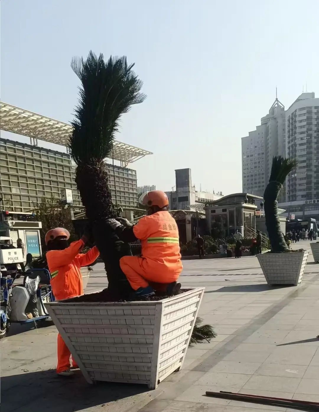 上海速冻模式开启！寒潮来袭，市区气温或将创下新低，你准备好了吗？  第3张