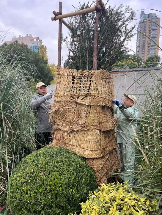 上海速冻模式开启！寒潮来袭，市区气温或将创下新低，你准备好了吗？  第7张