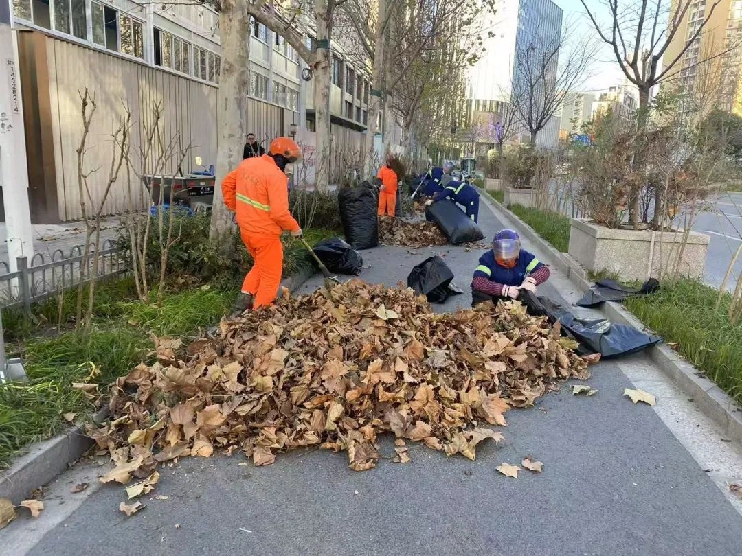 上海速冻模式开启！寒潮来袭，市区气温或将创下新低，你准备好了吗？  第9张