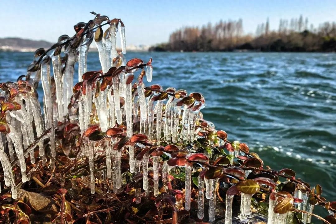 北极寒风直击浙江，零下17.8℃创纪录！你家门口也结冰了吗？  第1张