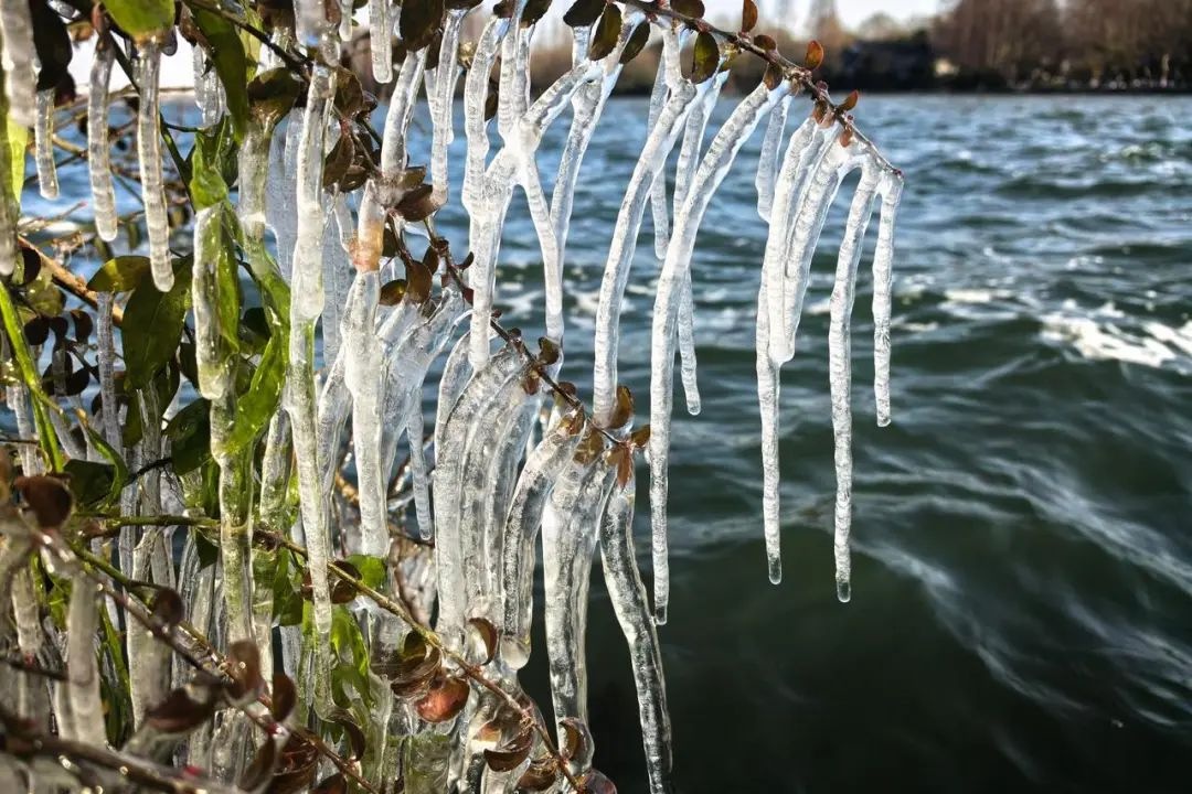 北极寒风直击浙江，零下17.8℃创纪录！你家门口也结冰了吗？  第2张