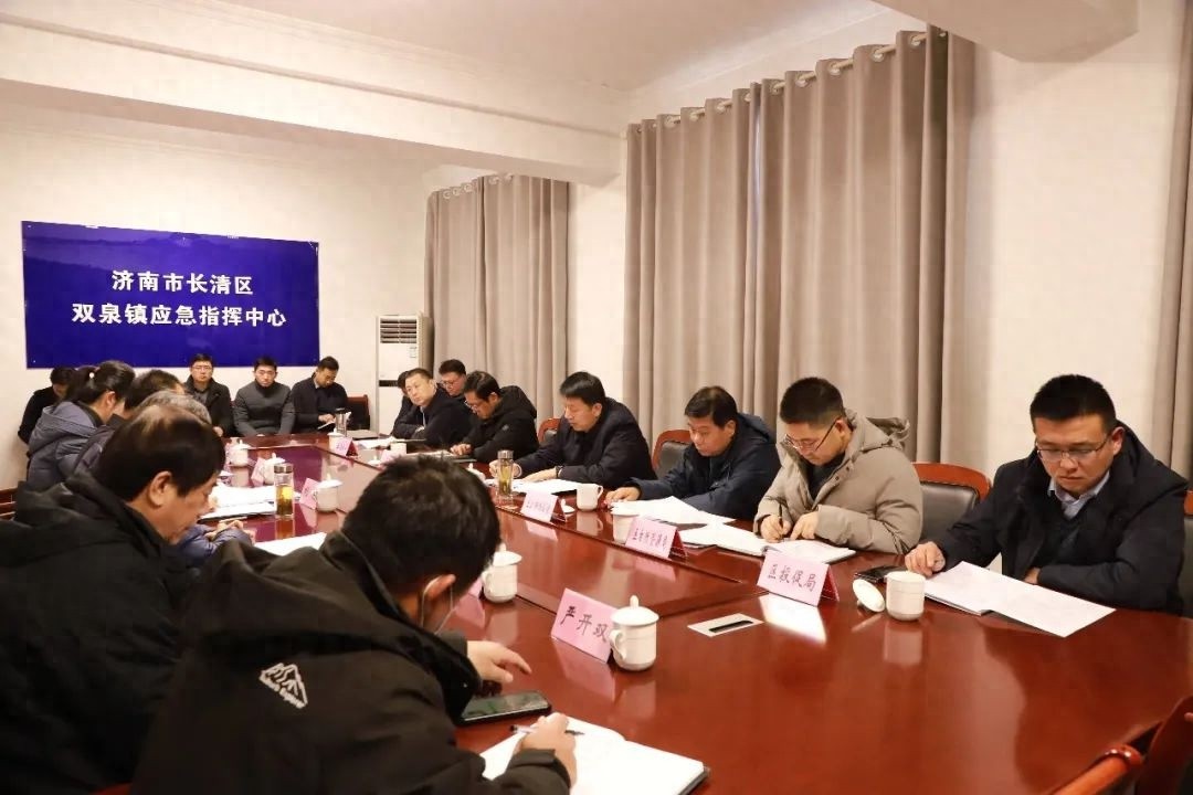 为何区委副书记带队调研双泉镇？重点项目如何提速提质提效？  第1张