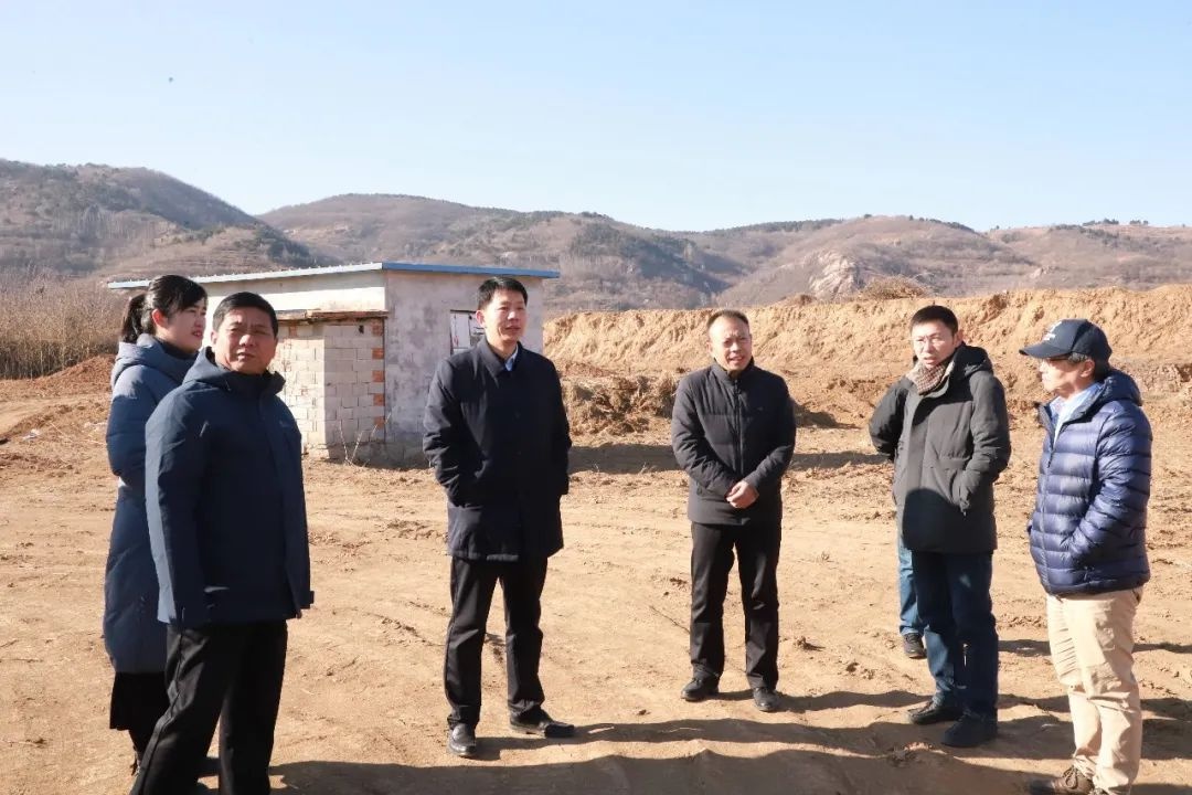 为何区委副书记带队调研双泉镇？重点项目如何提速提质提效？  第3张