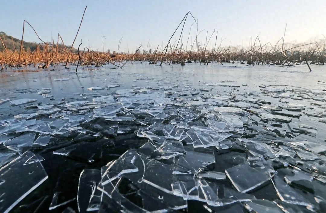 浙江多地气温创入冬新低，西湖结冰！你准备好迎接这场寒潮暴击了吗？