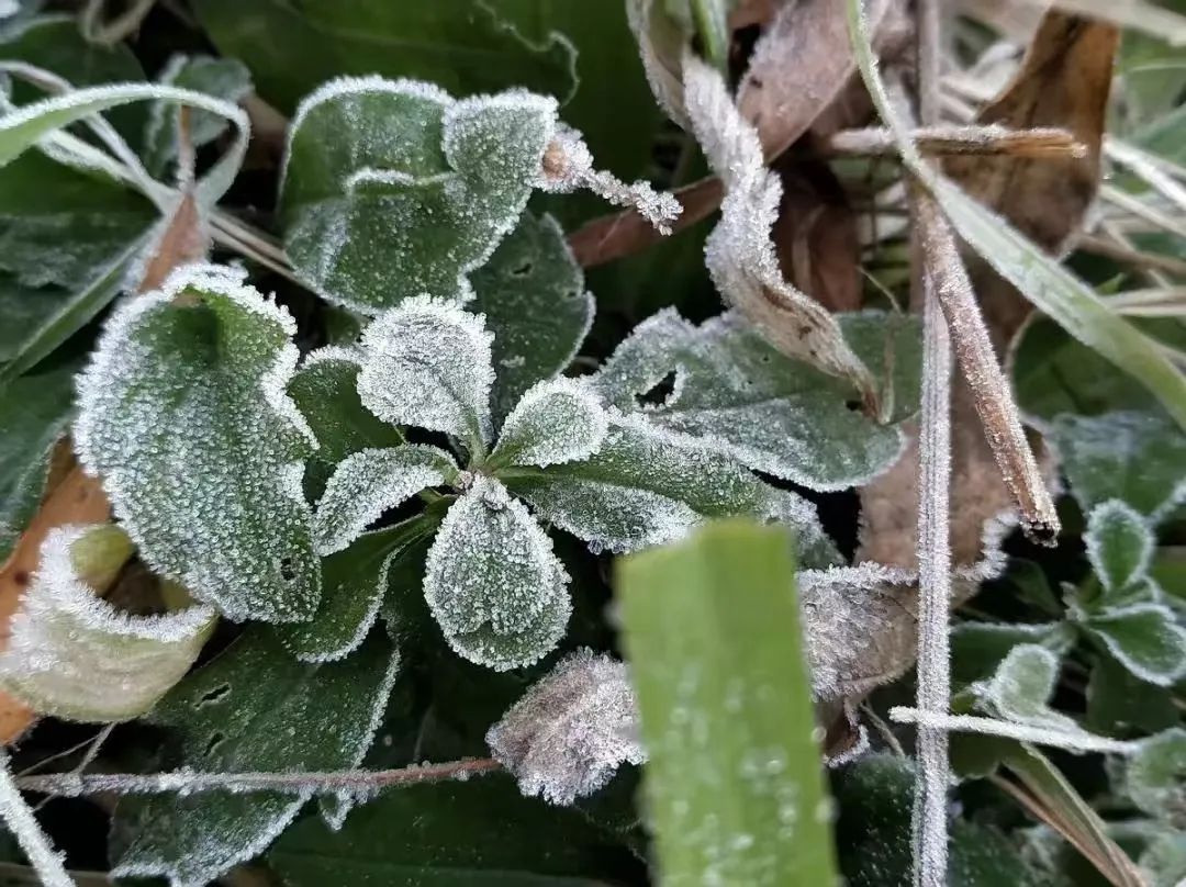 春节假期结束，天气大变脸！你准备好迎接回南天了吗？  第3张